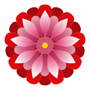 Experience Deep Healing with Charu Mathur: B&C Miracle Method Level 1 Online Workshop